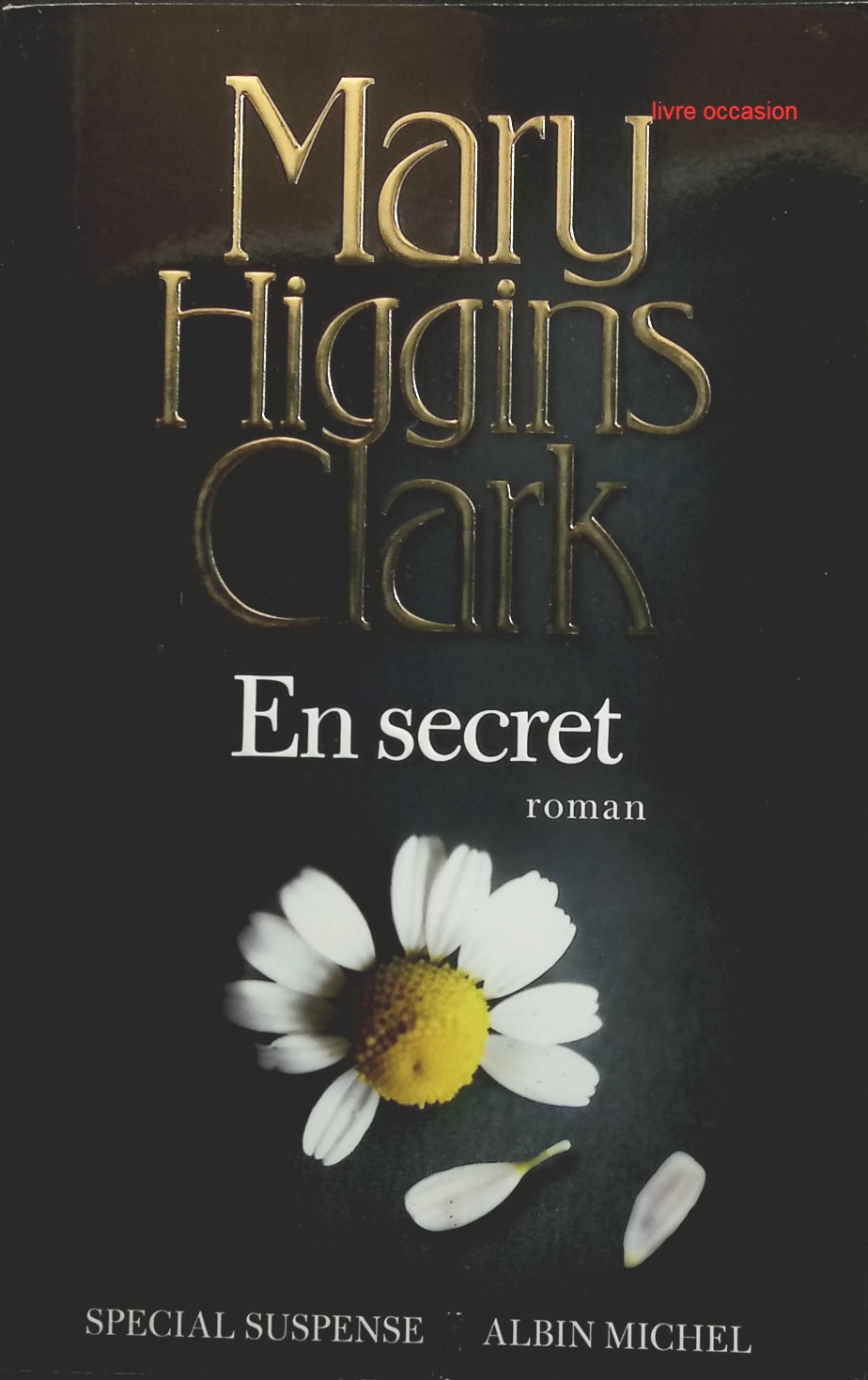 Someone Good - Françoise Bourdin - book