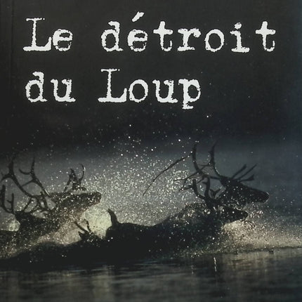 Jemand Gutes – Françoise Bourdin – Buch