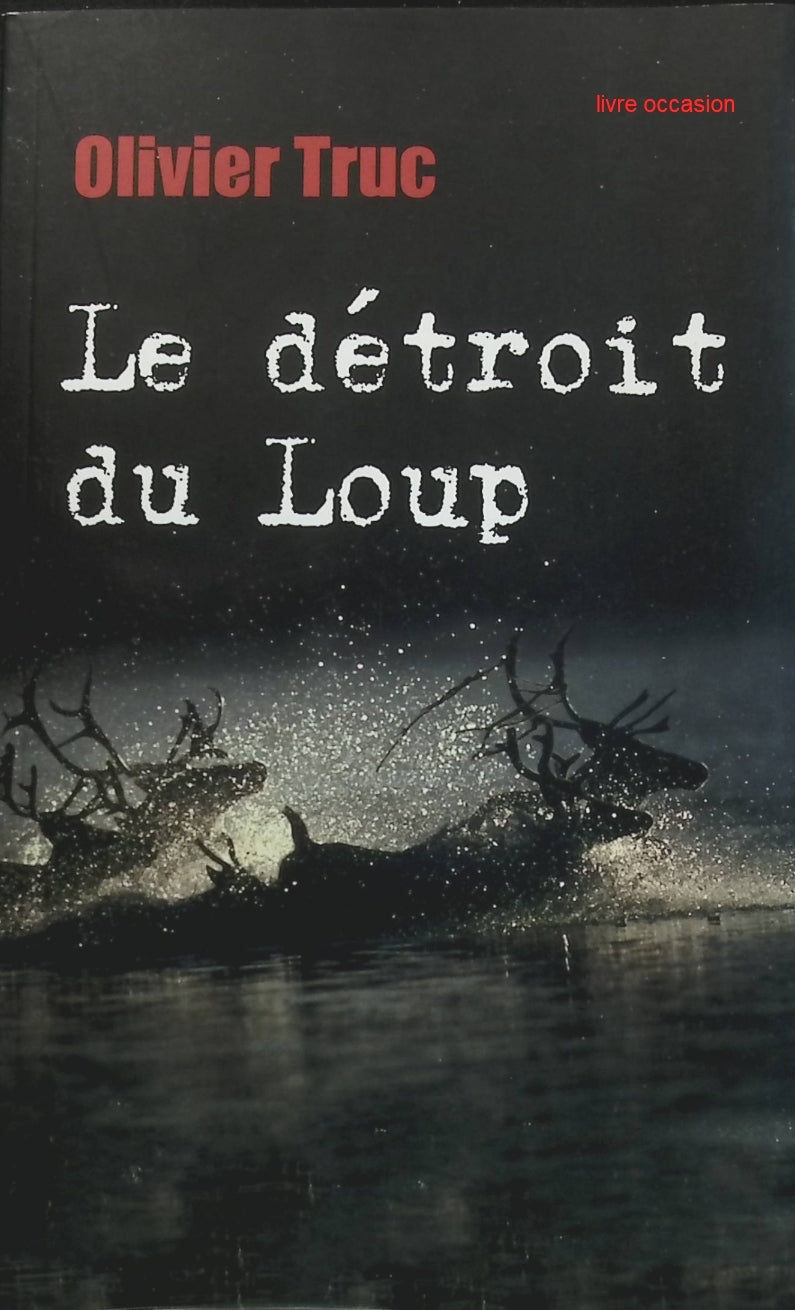 Someone Good - Françoise Bourdin - book