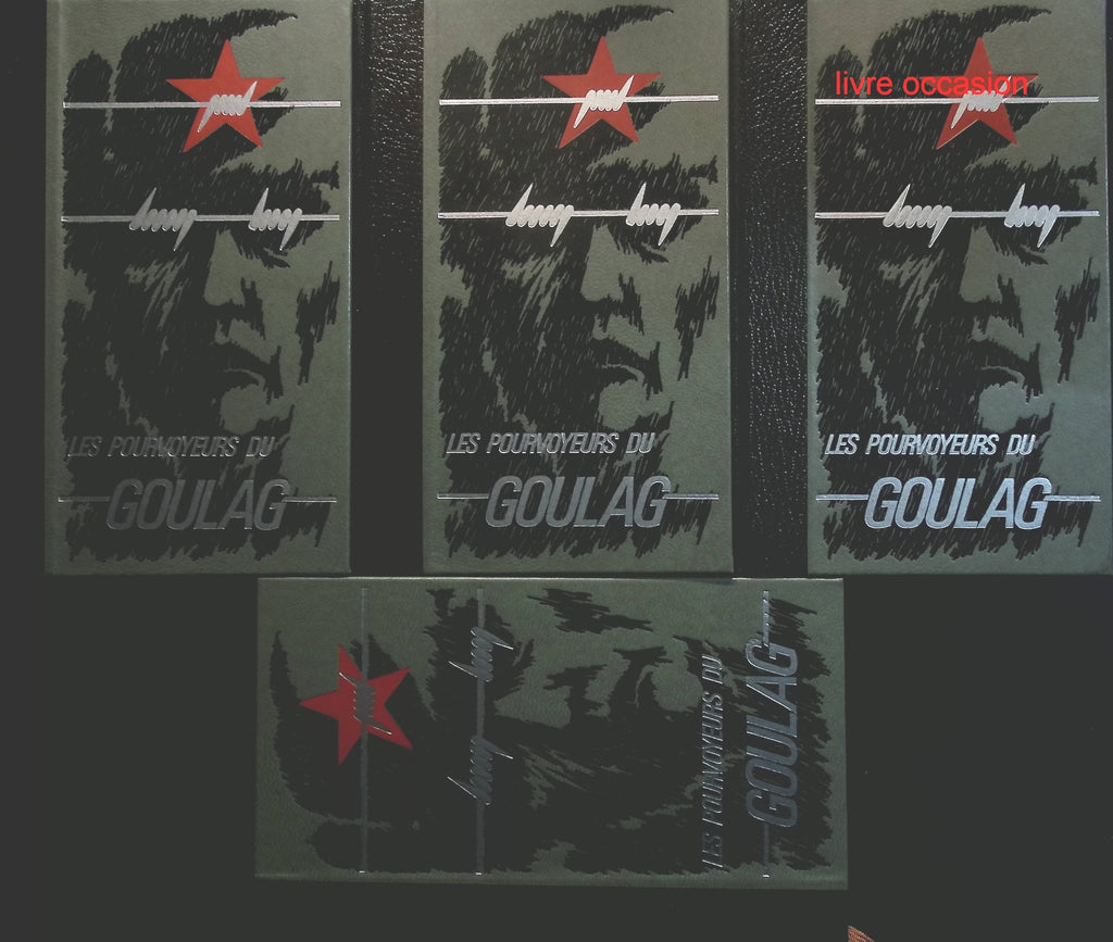 Someone Good - Françoise Bourdin - book