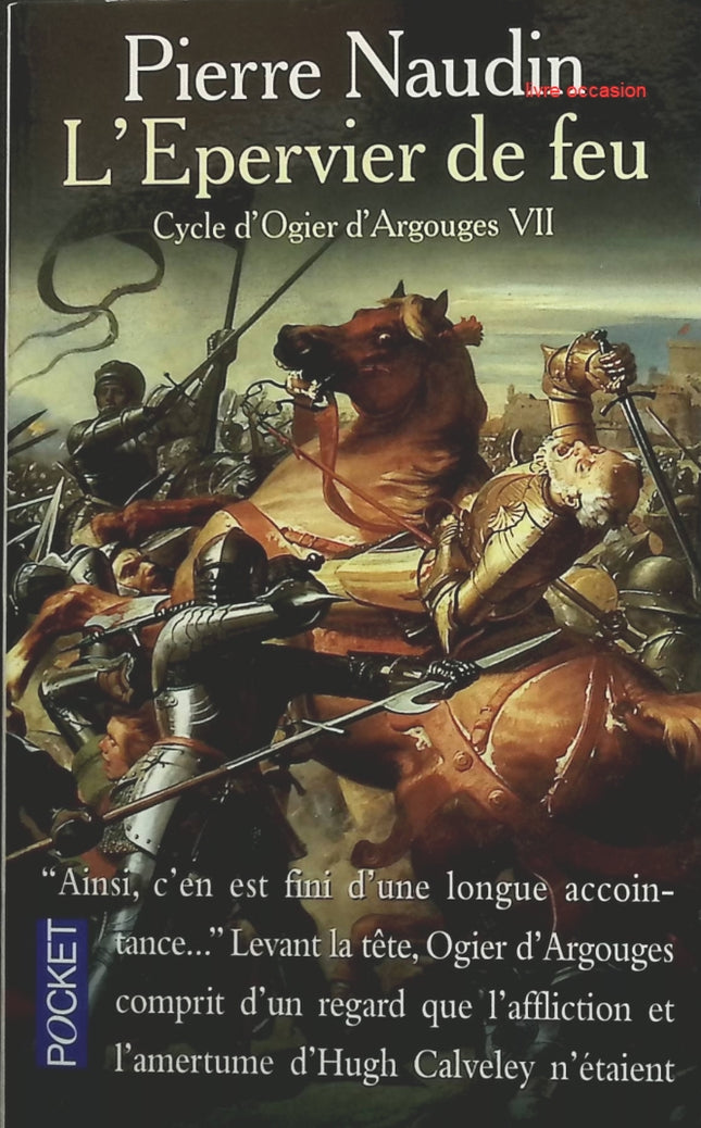 Cycle d'Ogier d'Argouges, tome 7 : L'épervier de feu - Pierre Naudin - livre