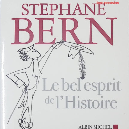 Le bel esprit de l'Histoire - Stéphane Bern - Livre