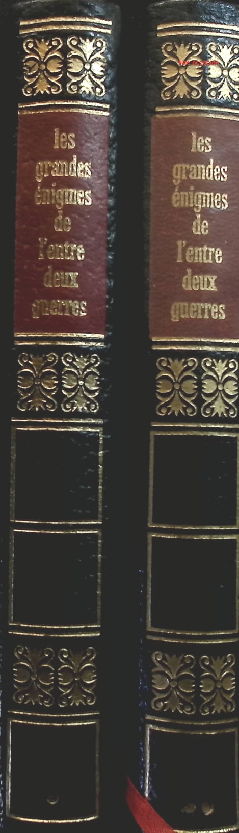 Someone Good - Françoise Bourdin - book