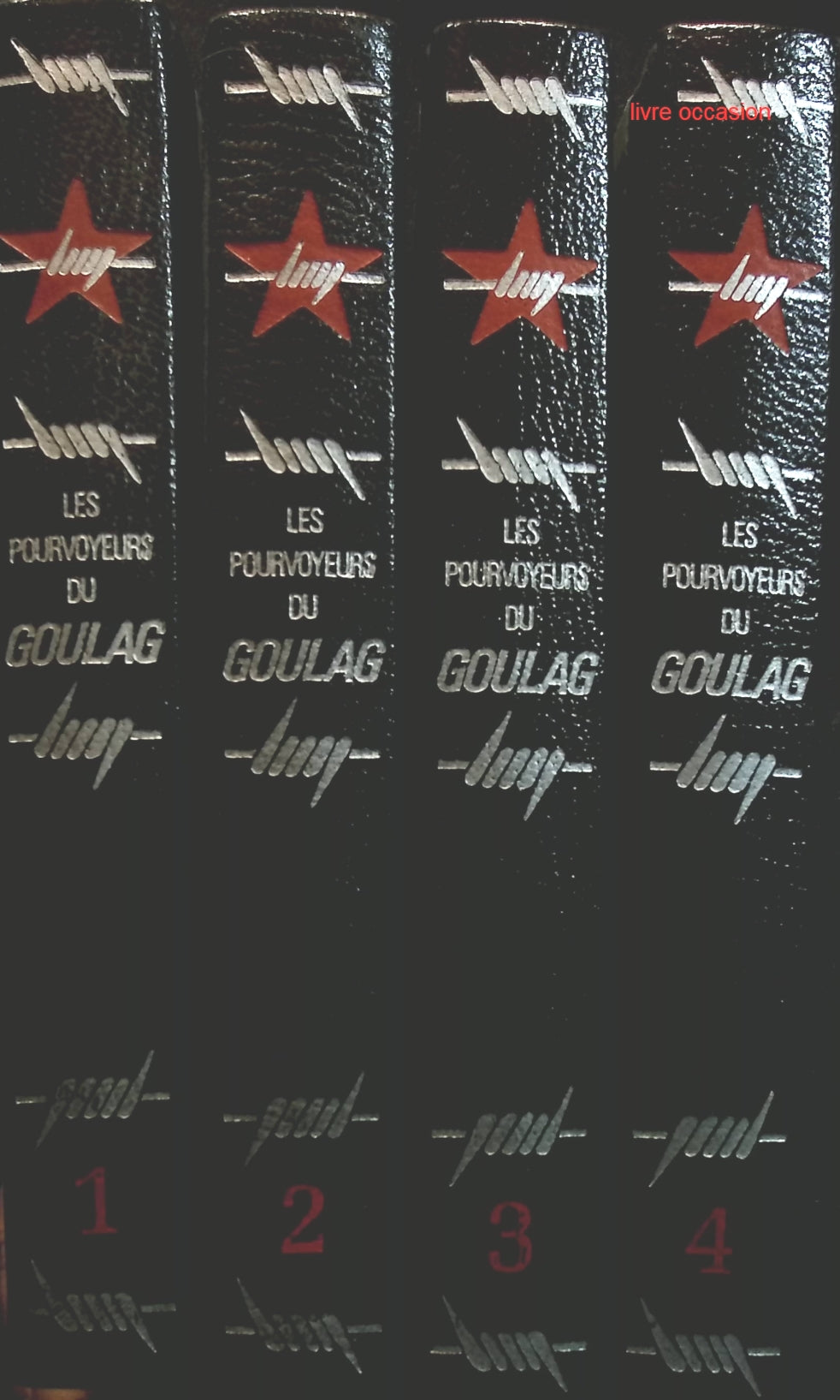 Someone Good - Françoise Bourdin - book