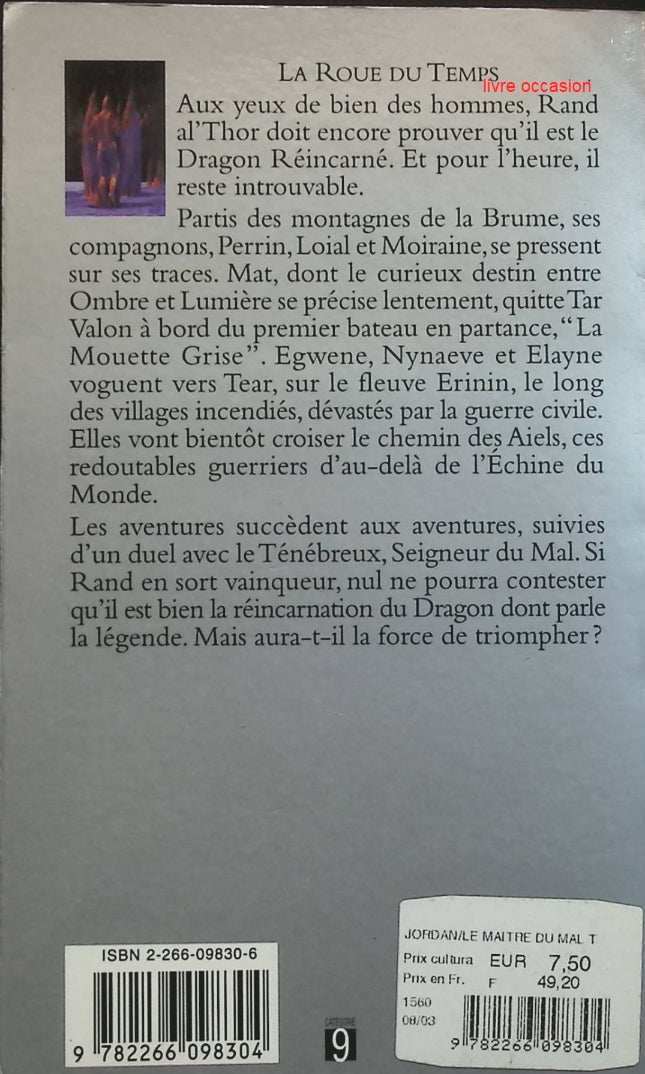 Someone Good - Françoise Bourdin - book