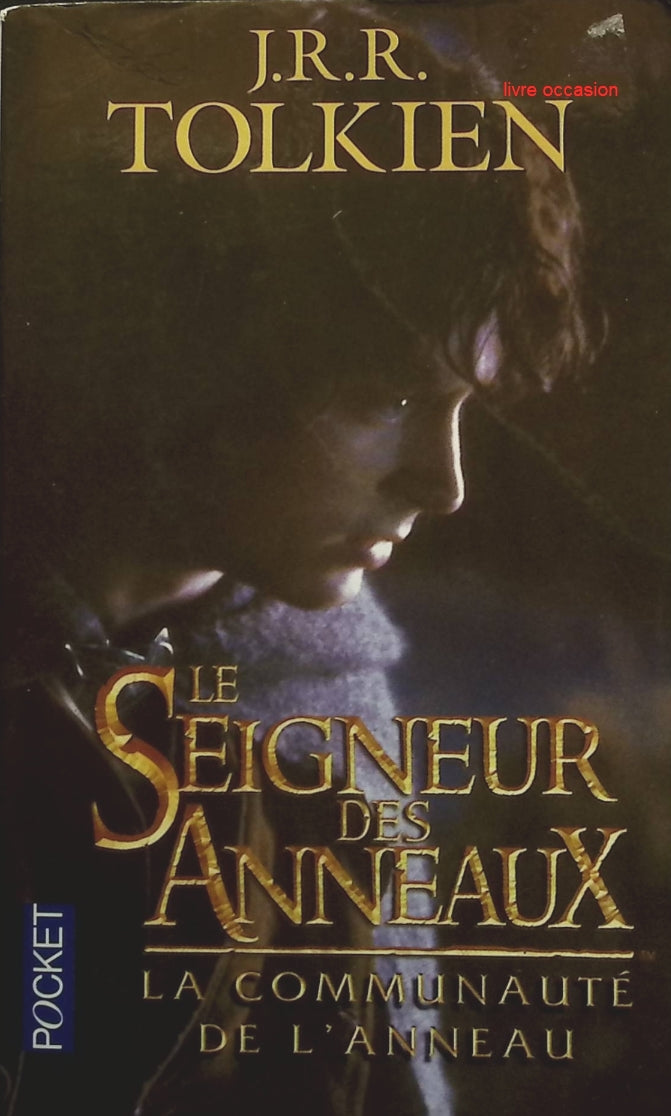 Someone Good - Françoise Bourdin - book