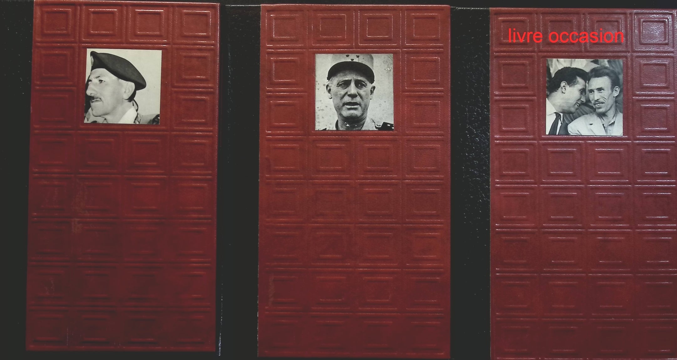 Someone Good - Françoise Bourdin - book