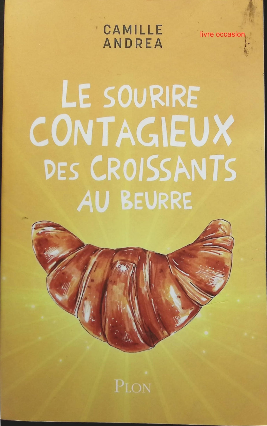 Someone Good - Françoise Bourdin - book