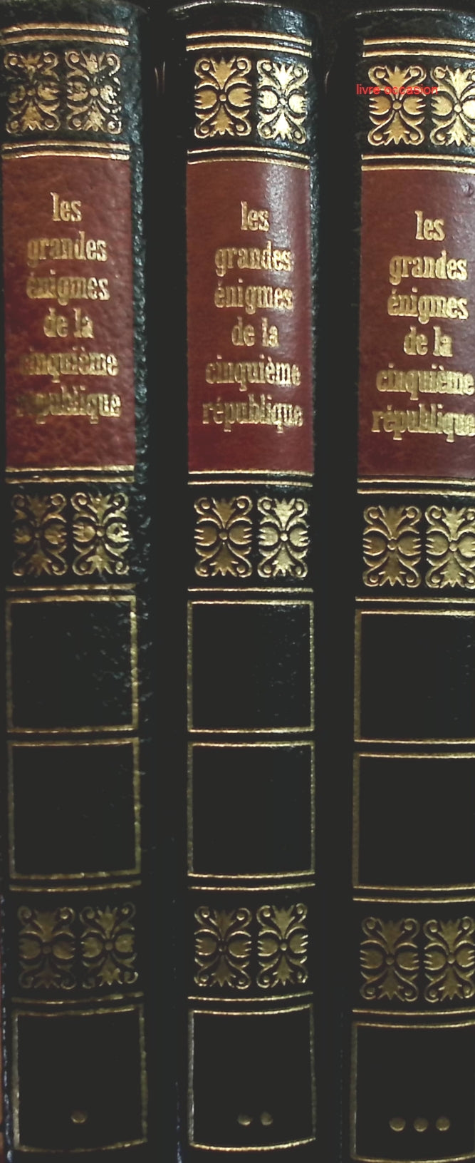 Someone Good - Françoise Bourdin - book