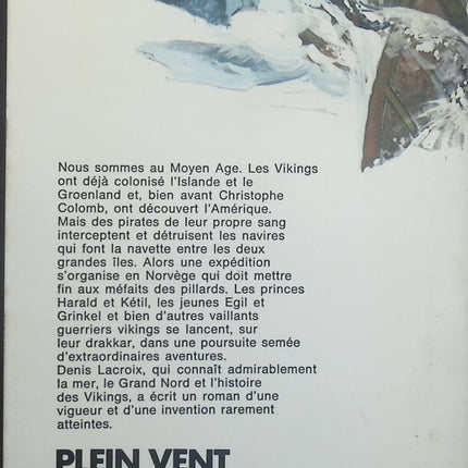 Pirates Vikings - Denis Lacroix - Livre