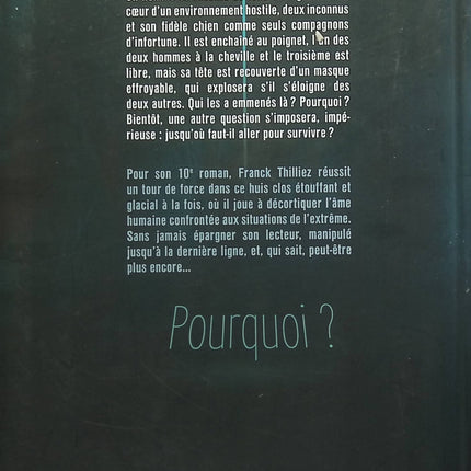 Someone Good - Françoise Bourdin - book