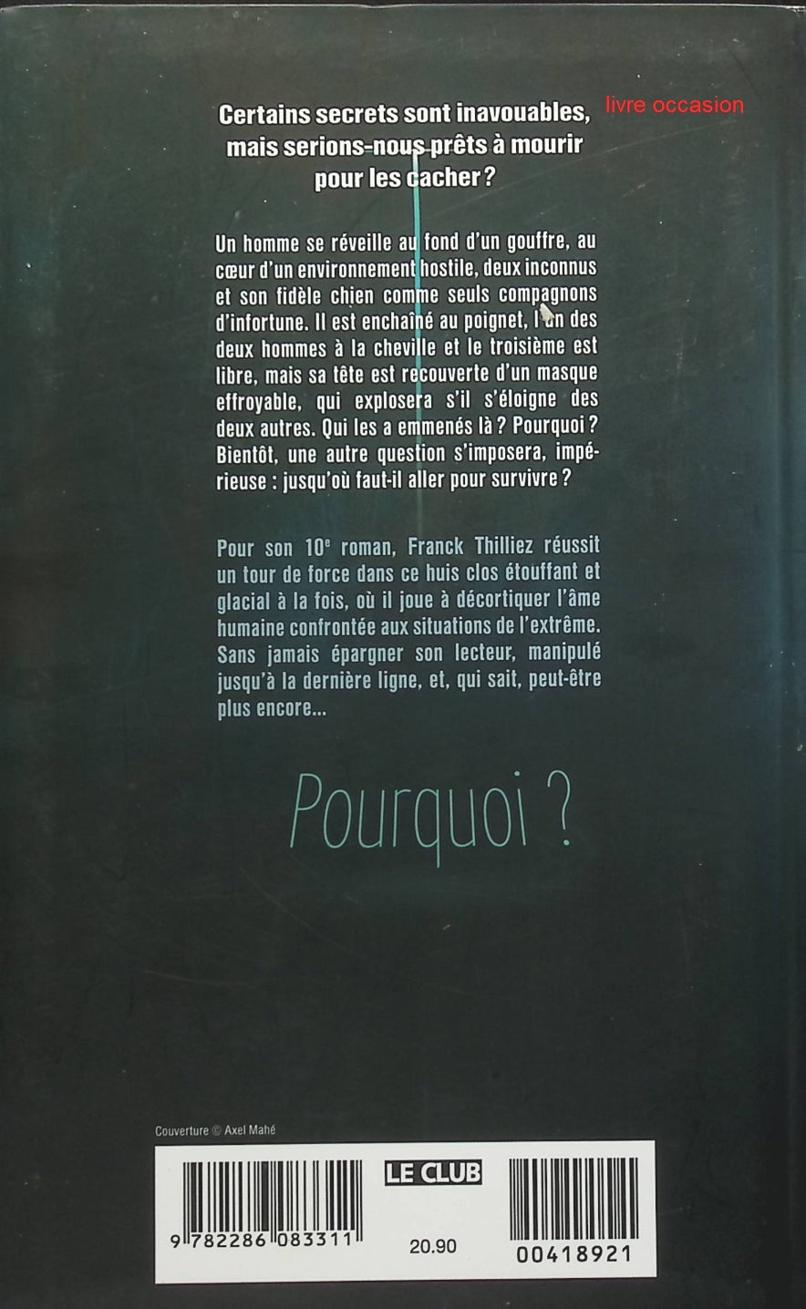 Someone Good - Françoise Bourdin - book