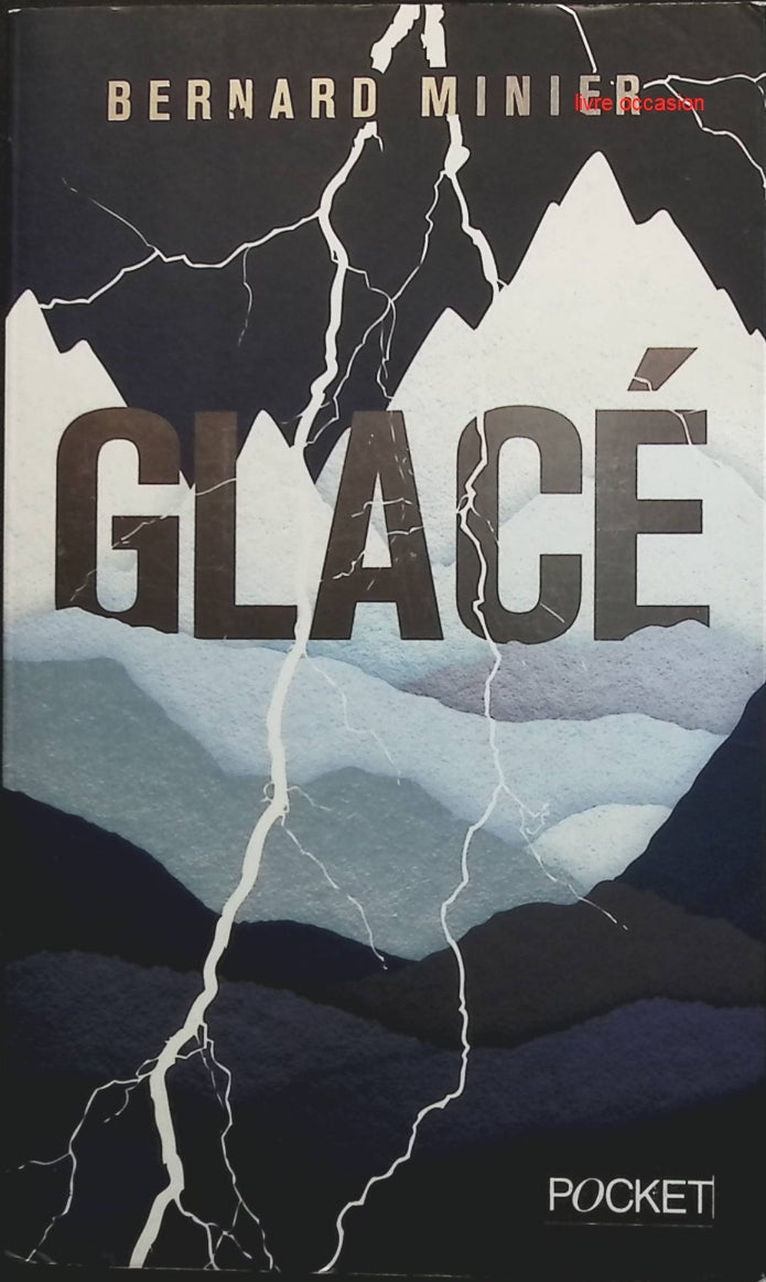 Someone Good - Françoise Bourdin - book