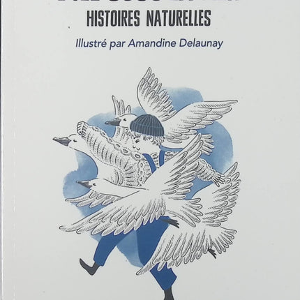 L'Ile sous la mer - Histoires naturelles - Xavier-Laurent Petit - livre