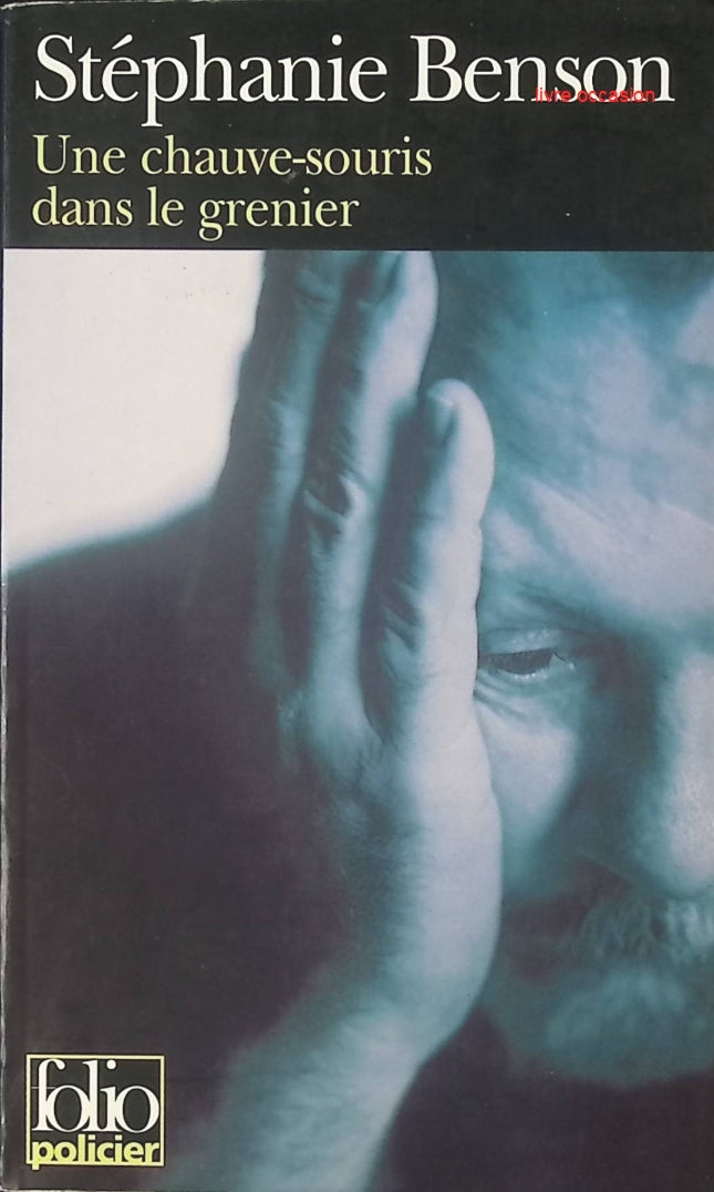 Une chauve-souris dans le grenier - Stéphanie Benson - Livre