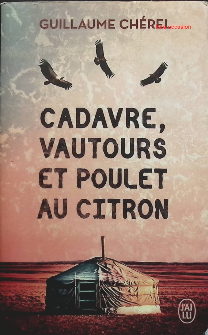 Someone Good - Françoise Bourdin - book