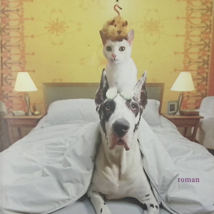 Maudit karma - David Safier - livre