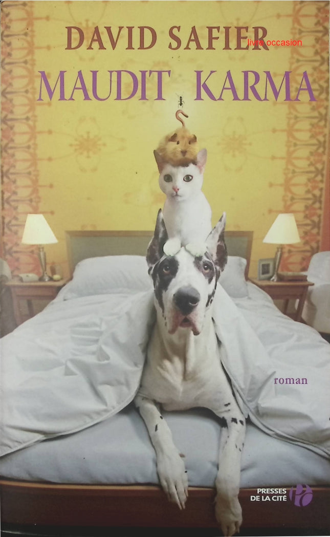 Maudit karma - David Safier - livre