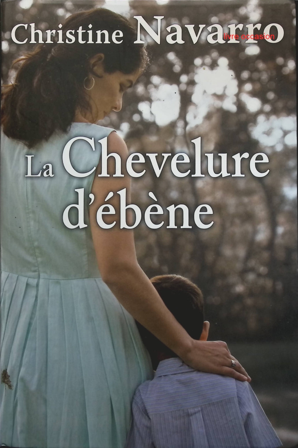 Someone Good - Françoise Bourdin - book