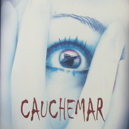 Cauchemar - Erica Spindler - livre