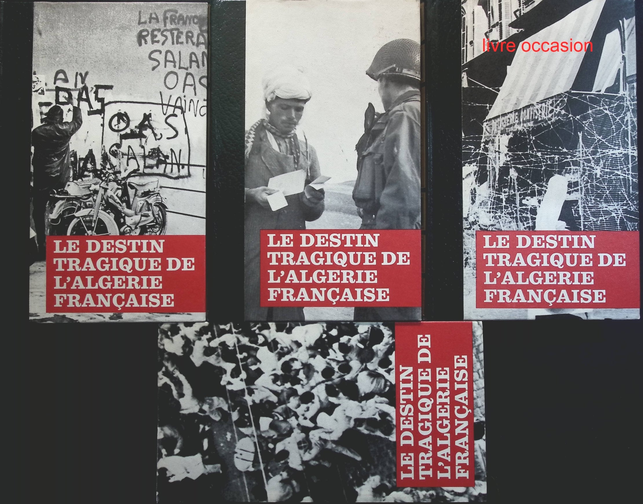 Someone Good - Françoise Bourdin - book