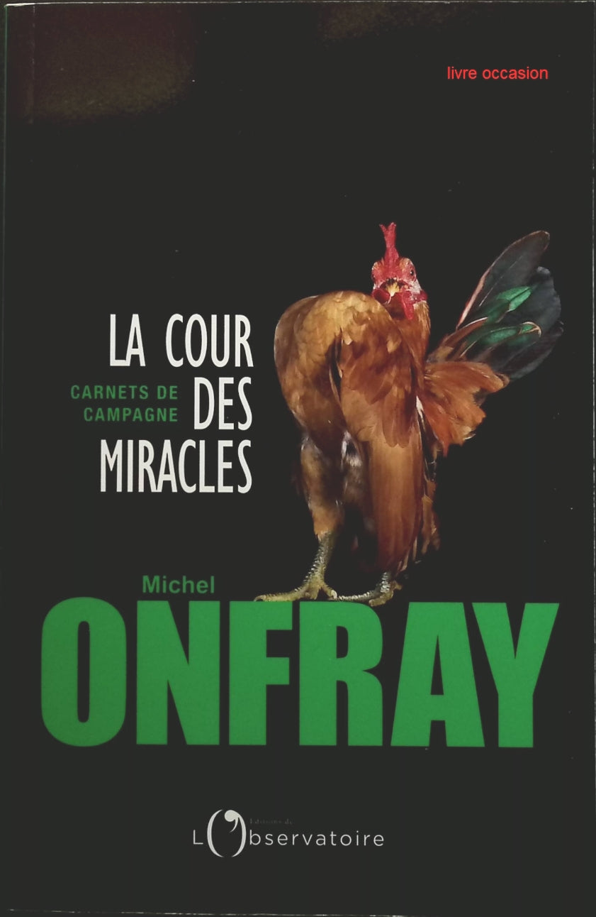 Someone Good - Françoise Bourdin - book