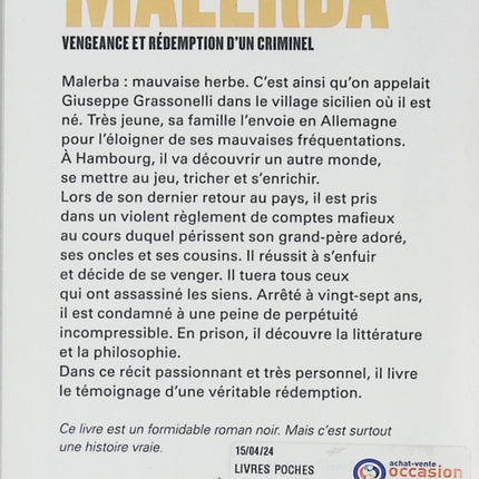 Temptation - Stephenie Meyer - book