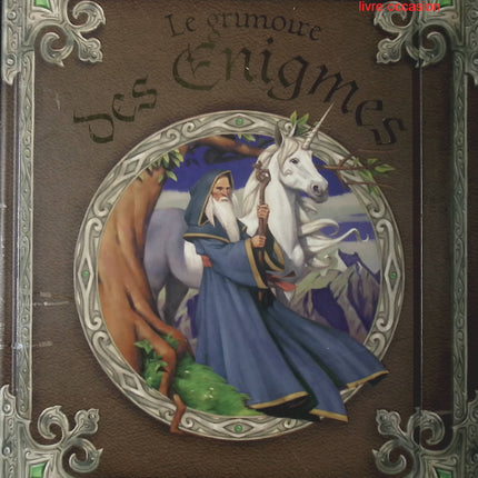 Le grimoire des énigmes - Frédérique de Buron - Livre