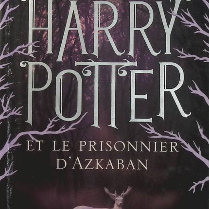 Harry Potter Tome 3 – Harry Potter et le Prisonnier d’Azkaban – J. K. Rowling, roman fantastique jeunesse et aventure à Poudlard - Livre