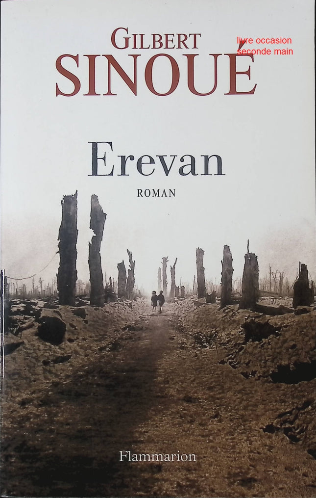 Erevan – roman historique passionnant de Gilbert Sinoué intrigues et drame du Moyen-Orient - livre