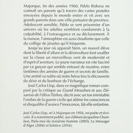 Le rapport Stein - José Carlos Llop - livre