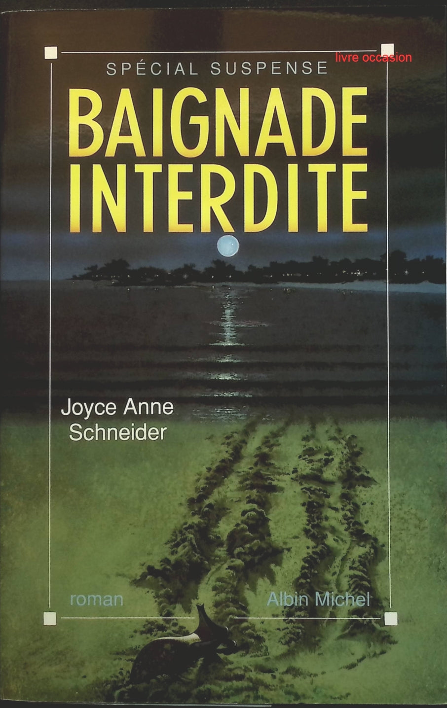 Someone Good - Françoise Bourdin - book