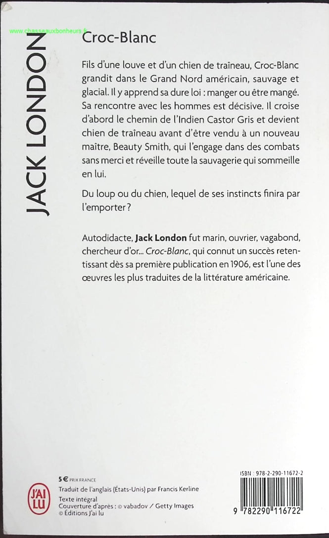 Someone Good - Françoise Bourdin - book