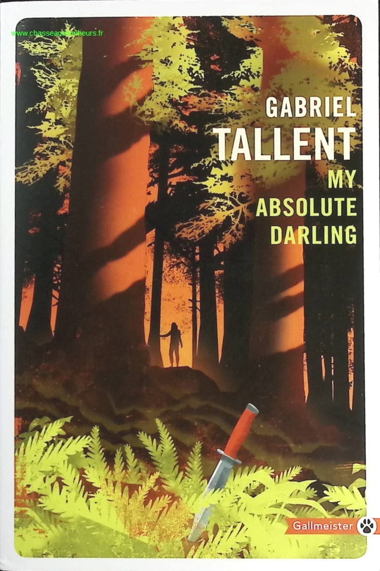 Someone Good - Françoise Bourdin - book