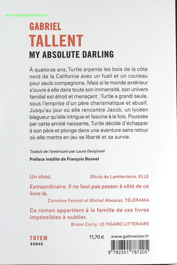 Someone Good - Françoise Bourdin - book