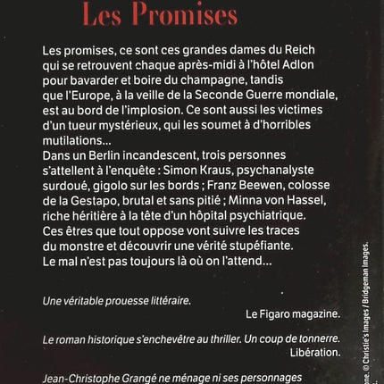 Someone Good - Françoise Bourdin - book