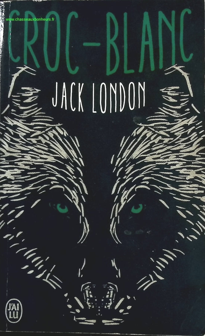 Someone Good - Françoise Bourdin - book