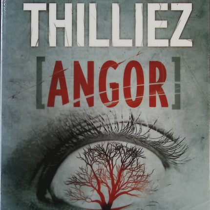 Angor - Tome 4 - Franck Thilliez  - livre