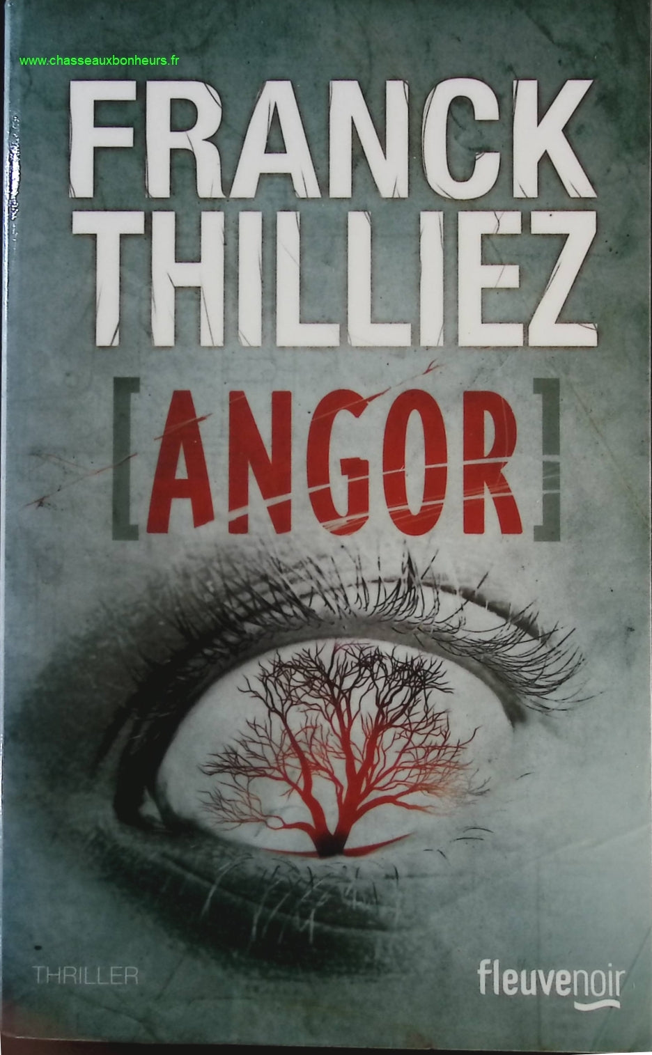 Someone Good - Françoise Bourdin - book