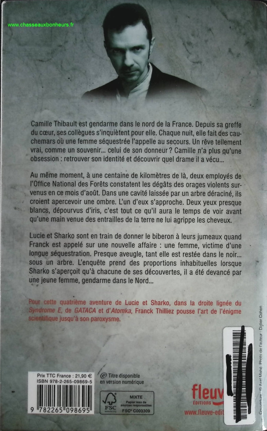 Someone Good - Françoise Bourdin - book