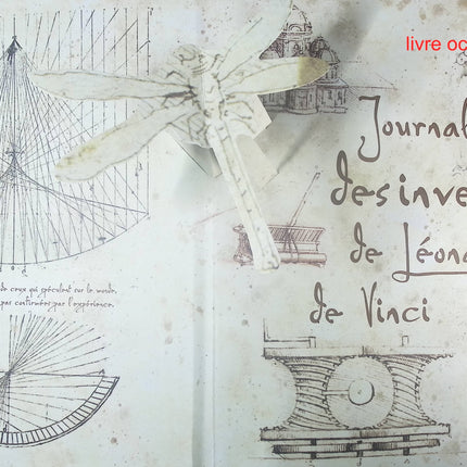 Journal des inventions de Léonard de Vinci - David Hawcock - Livre