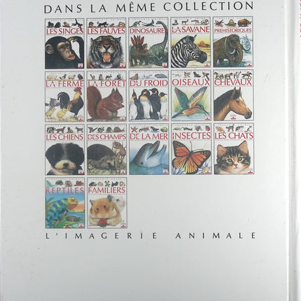 Insectes - Pour les faire connaître aux enfants - Émilie Beaumont, Lindsey Selley - Livre