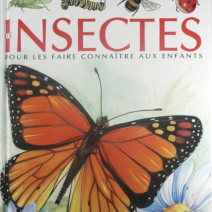 Insectes - Pour les faire connaître aux enfants - Émilie Beaumont, Lindsey Selley - Livre
