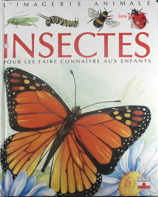 Insectes - Pour les faire connaître aux enfants - Émilie Beaumont, Lindsey Selley - Livre