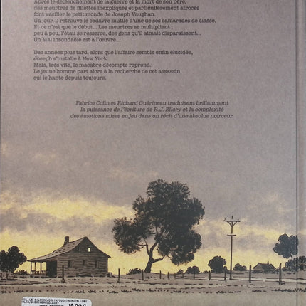 Seul le silence – R.J. Ellory, Richard Guérineau, Fabrice Colin – Bande dessinée thriller, polar et enquête - Livre BD