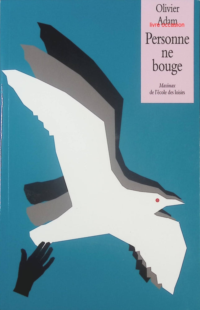 Personne ne bouge – Olivier Adam – Roman jeunesse suspense et aventure – Livre ado mystère - livre