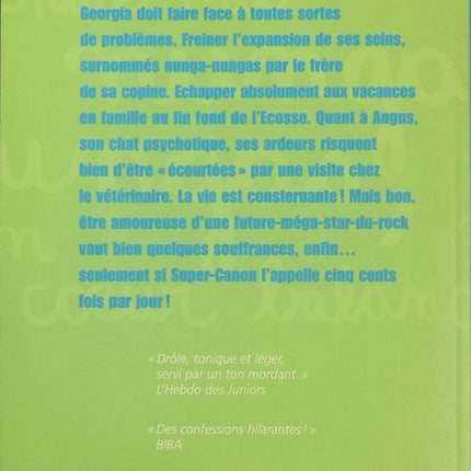 Le Journal intime de Georgia Nicolson Tome 3 – Entre mes nunga-nungas mon cœur balance – Louise Rennison – Roman ado humour - livre