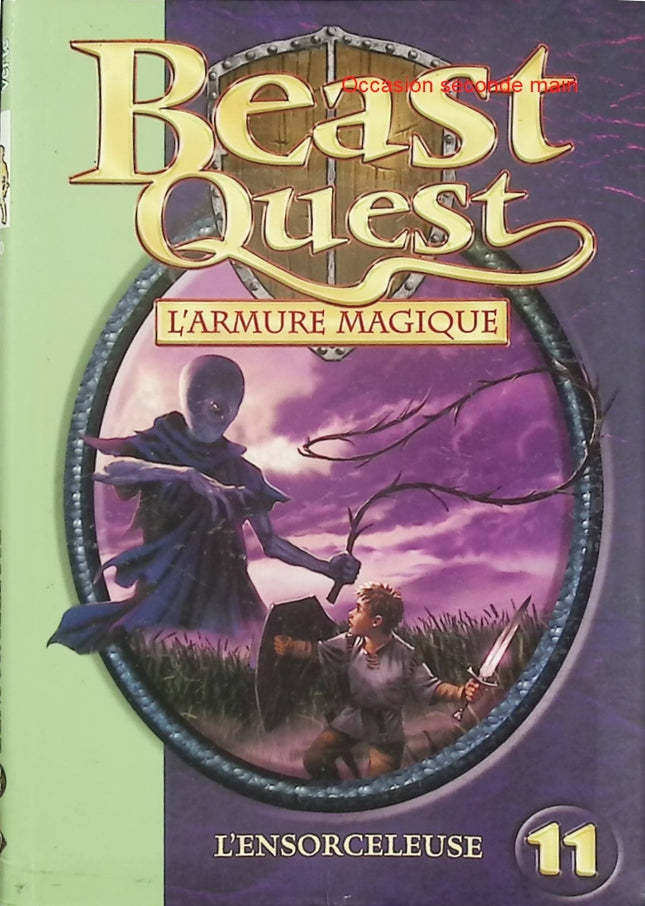 Beast Quest Tome 11 – L’Ensorceleuse – Adam Blade – Bibliothèque Verte – Tom et Elena - Livre