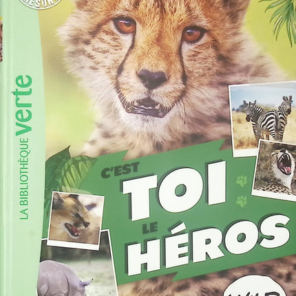Wild Immersion - C’est toi le héros XXL - Roman jeunesse interactif nature et aventure - Bibliothèque Verte - livre
