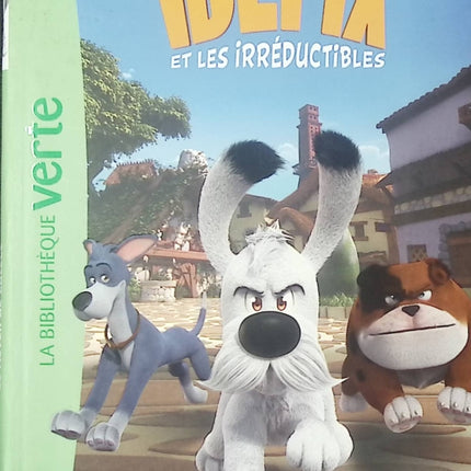 Idéfix et les Irréductibles Tome 1 - Le Réveil de Lutèce - Roman jeunesse aventure et humour - Bibliothèque Verte - livre